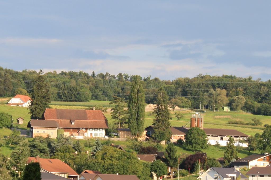 Hof Oberprehl Murten Exterior foto